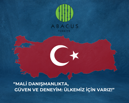 Mali müşavirlik danışmanlığı